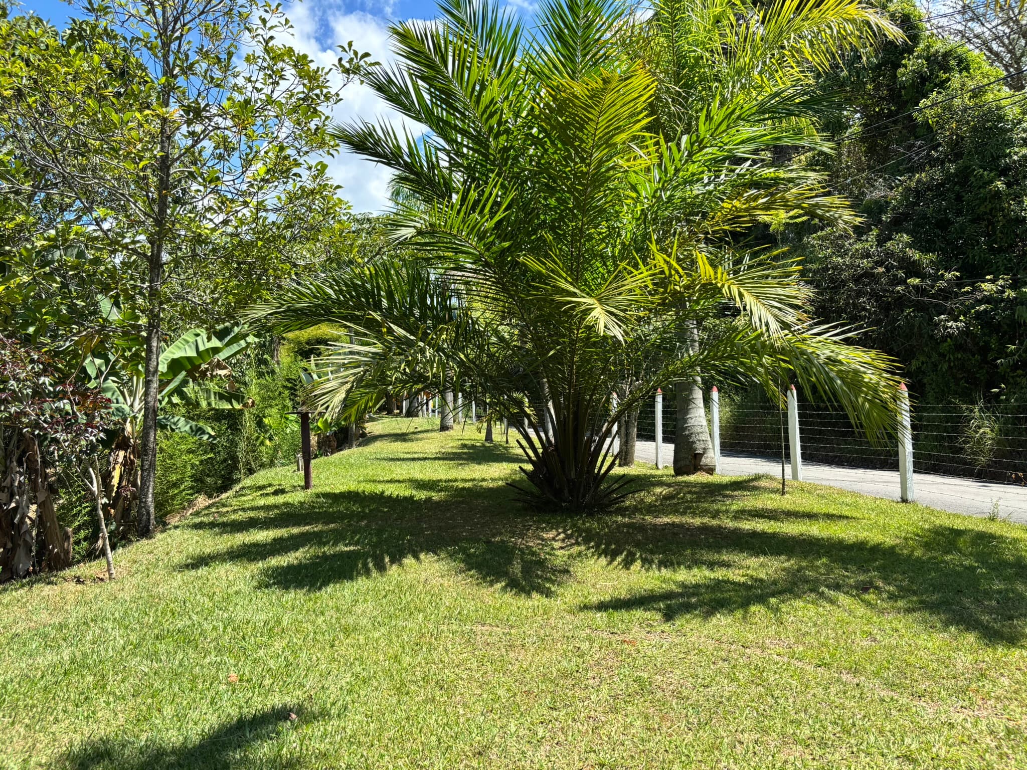 Sendero natural dentro de Finca Tarso