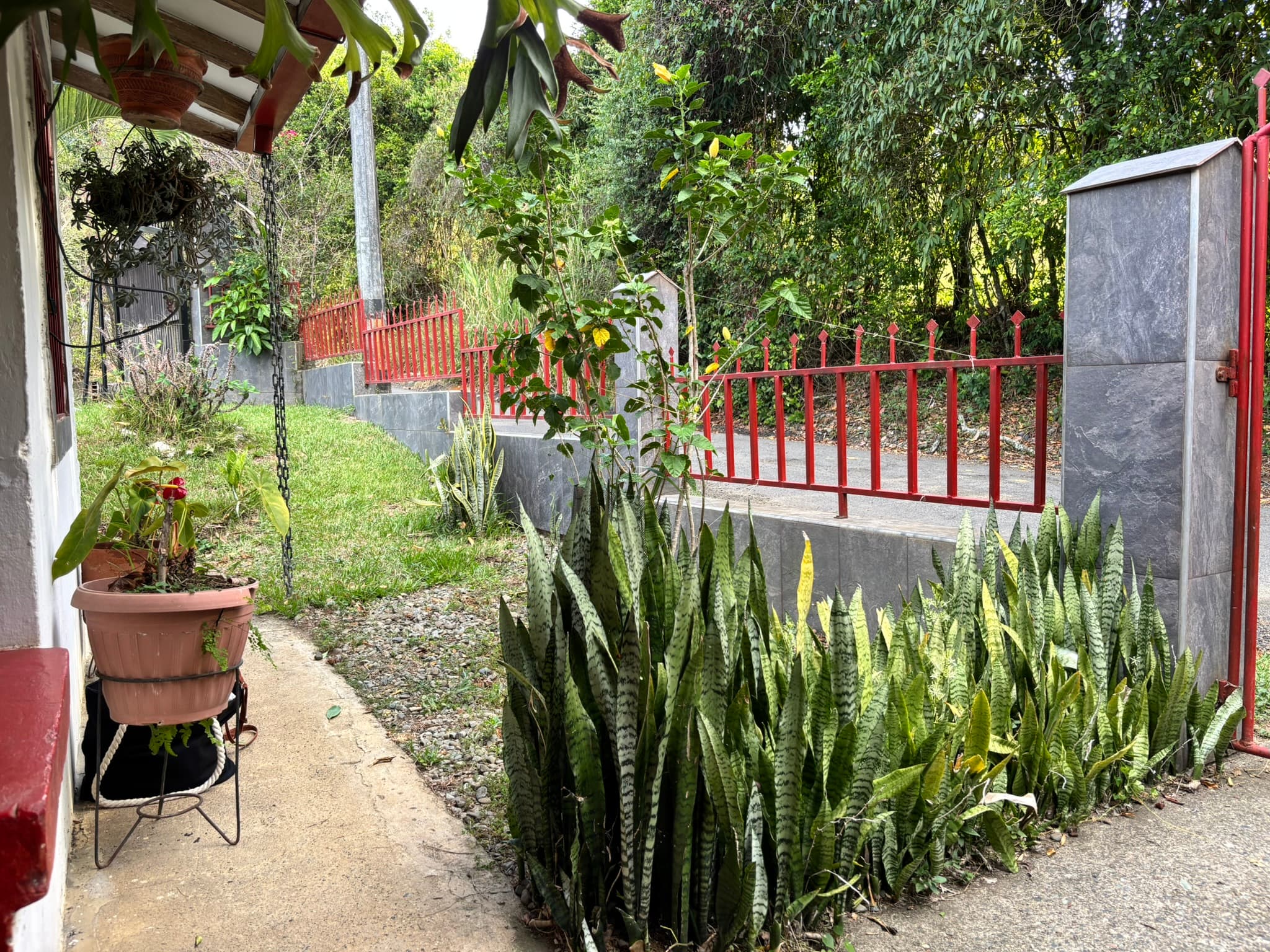 Sendero natural en Finca Tarso