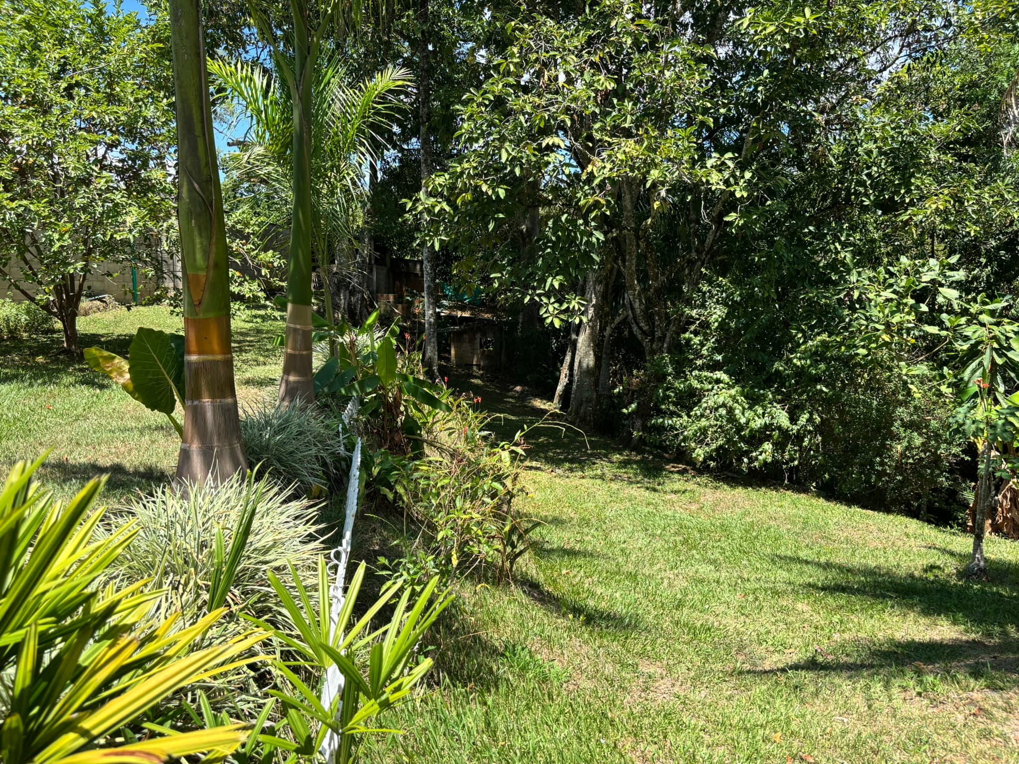 Vegetación y sendero ecológico junto a Finca Tarso